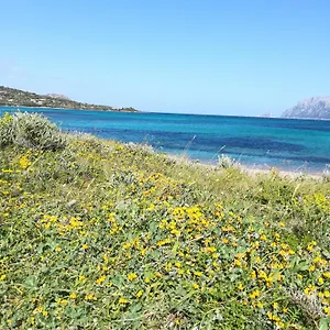 Stanza Al Lungomare Affittacamere Olbia